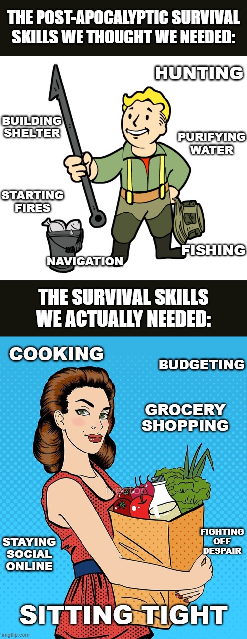 Less Bear Grylls, more Home Economics. | THE POST-APOCALYPTIC SURVIVAL SKILLS WE THOUGHT WE NEEDED:; HUNTING; BUILDING SHELTER; PURIFYING WATER; STARTING FIRES; FISHING; NAVIGATION; THE SURVIVAL SKILLS WE ACTUALLY NEEDED:; COOKING; BUDGETING; GROCERY SHOPPING; STAYING SOCIAL ONLINE; FIGHTING OFF DESPAIR; SITTING TIGHT | image tagged in fallout 4 survivalist,woman grocery shopping cartoon,bear grylls,cooking,social media,covid-19 | made w/ Imgflip meme maker