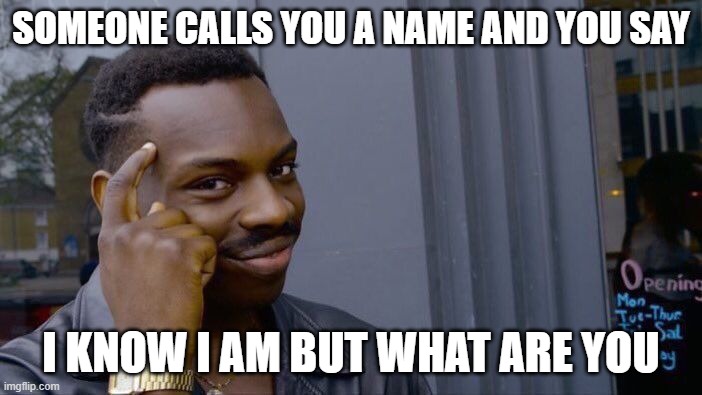 Roll Safe Think About It | SOMEONE CALLS YOU A NAME AND YOU SAY; I KNOW I AM BUT WHAT ARE YOU | image tagged in memes,roll safe think about it | made w/ Imgflip meme maker