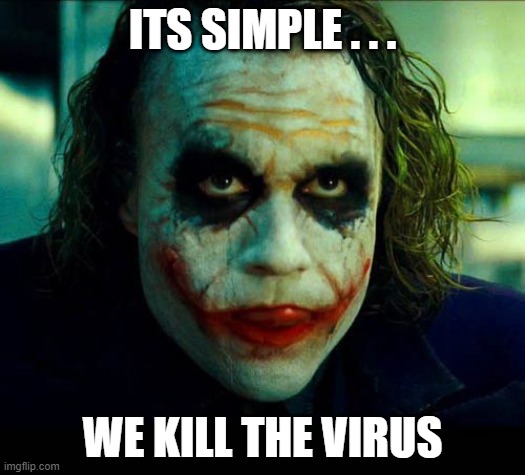 its simple | ITS SIMPLE . . . WE KILL THE VIRUS | image tagged in joker it's simple we kill the batman | made w/ Imgflip meme maker