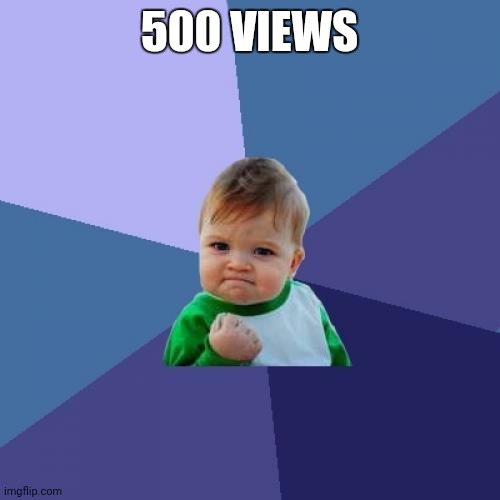 Success Kid Meme | 500 VIEWS | image tagged in memes,success kid | made w/ Imgflip meme maker