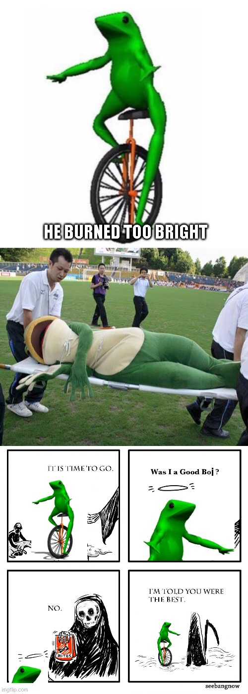 rip dat boi | HE BURNED TOO BRIGHT; i | image tagged in dat boi,was i a good boy,funny,memes,rip | made w/ Imgflip meme maker