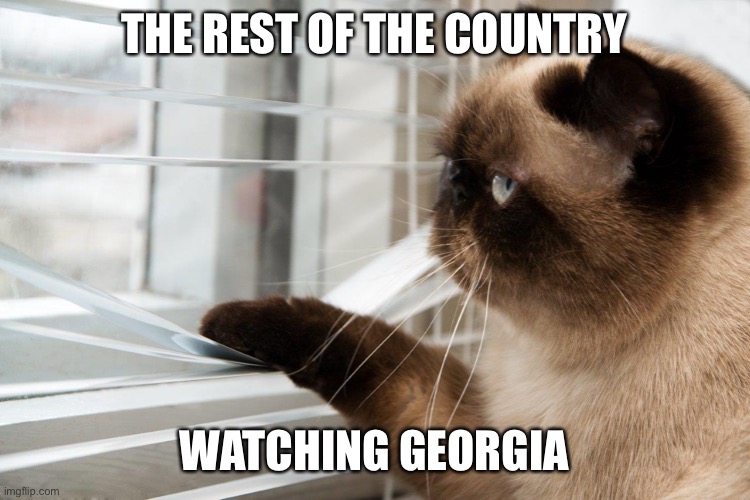 Watching Georgia |  THE REST OF THE COUNTRY; WATCHING GEORGIA | image tagged in cat looking out window | made w/ Imgflip meme maker