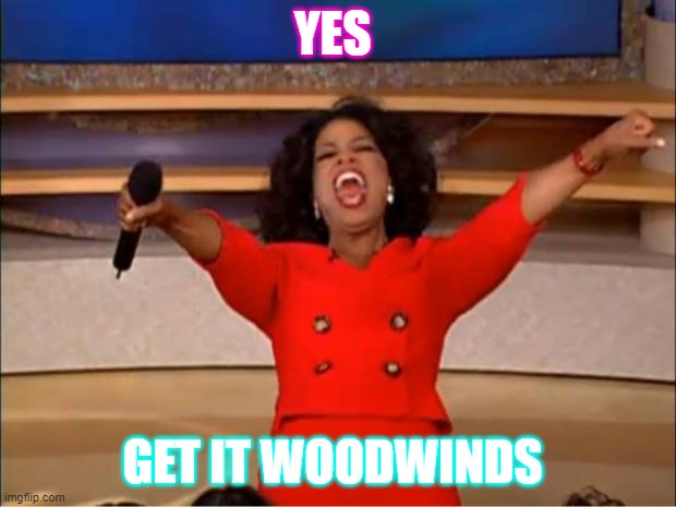 Oprah You Get A Meme | YES; GET IT WOODWINDS | image tagged in memes,oprah you get a | made w/ Imgflip meme maker