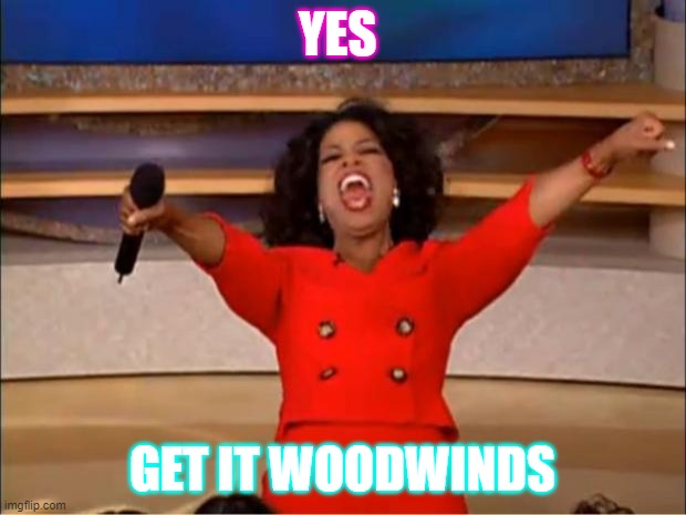 Oprah You Get A | YES; GET IT WOODWINDS | image tagged in memes,oprah you get a | made w/ Imgflip meme maker