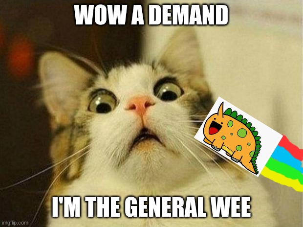 Scared Cat | WOW A DEMAND; I'M THE GENERAL WEE | image tagged in memes,scared cat | made w/ Imgflip meme maker