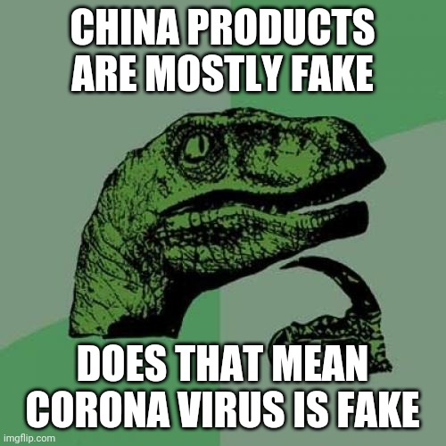 Corona | CHINA PRODUCTS ARE MOSTLY FAKE; DOES THAT MEAN CORONA VIRUS IS FAKE | image tagged in memes,philosoraptor | made w/ Imgflip meme maker