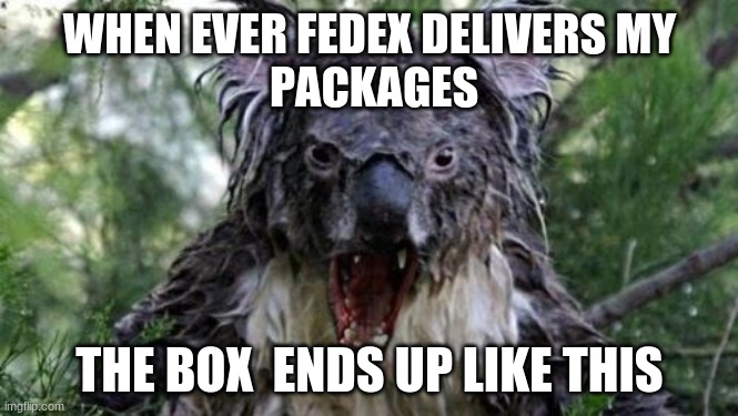 Angry Koala Meme | WHEN EVER FEDEX DELIVERS MY
 PACKAGES; THE BOX  ENDS UP LIKE THIS | image tagged in memes,angry koala | made w/ Imgflip meme maker