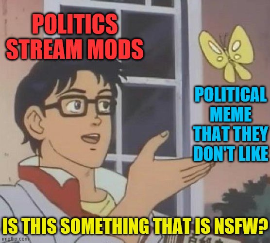 Is This A Pigeon | POLITICS STREAM MODS; POLITICAL MEME THAT THEY DON'T LIKE; IS THIS SOMETHING THAT IS NSFW? | image tagged in memes,is this a pigeon,political meme,imgflip mods | made w/ Imgflip meme maker