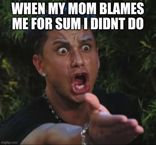 DJ Pauly D Meme | WHEN MY MOM BLAMES ME FOR SUM I DIDNT DO | image tagged in memes,dj pauly d | made w/ Imgflip meme maker