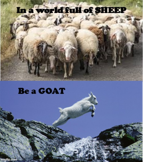 image tagged in don't be a sheep | made w/ Imgflip meme maker
