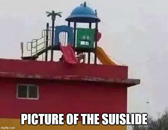PICTURE OF THE SUISLIDE | made w/ Imgflip meme maker