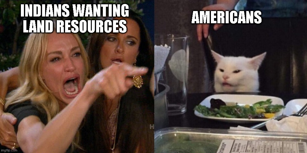 Woman yelling at cat | AMERICANS; INDIANS WANTING LAND RESOURCES | image tagged in woman yelling at cat | made w/ Imgflip meme maker