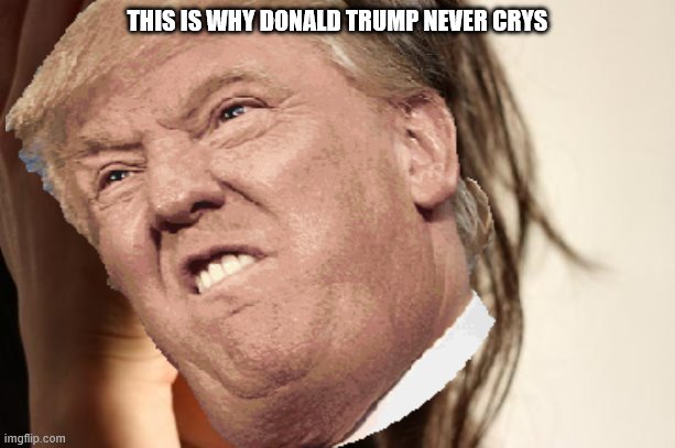 Donald duck for real | THIS IS WHY DONALD TRUMP NEVER CRYS | image tagged in funny meme | made w/ Imgflip meme maker