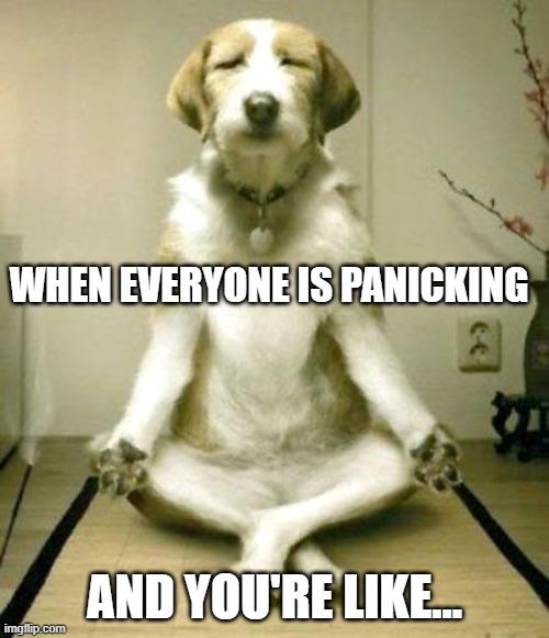 find your peace | WHEN EVERYONE IS PANICKING; AND YOU'RE LIKE... | image tagged in inner peace dog | made w/ Imgflip meme maker