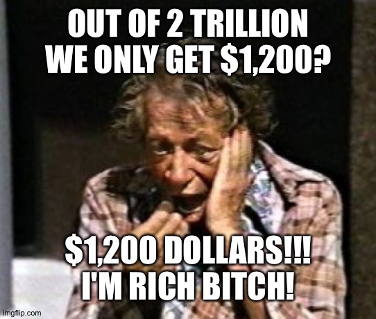 Stimulus | OUT OF 2 TRILLION WE ONLY GET $1,200? $1,200 DOLLARS!!! I'M RICH BITCH! | image tagged in money | made w/ Imgflip meme maker