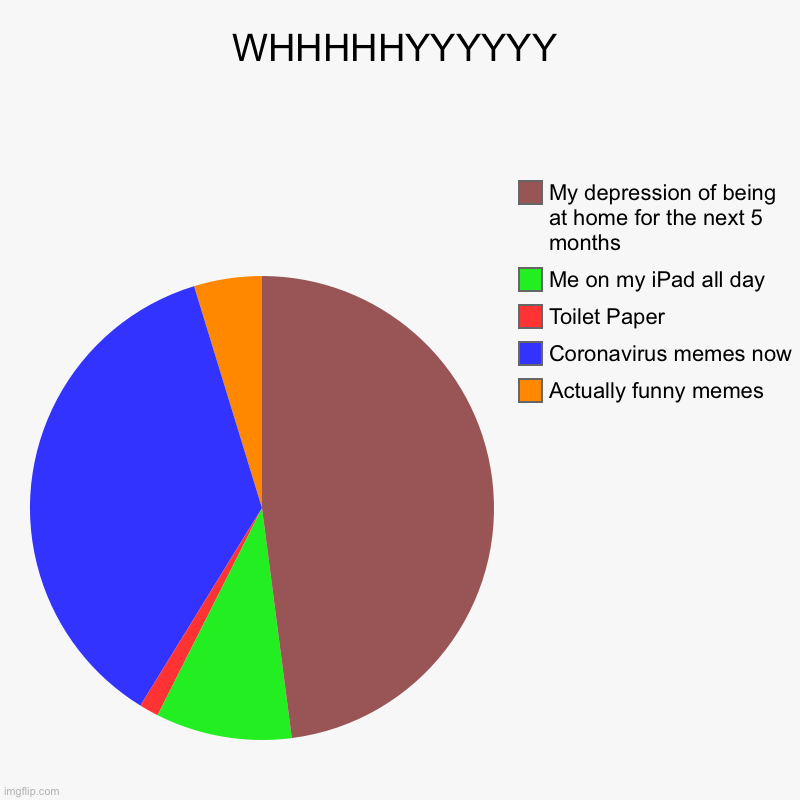 WHHHHHYYYYYY | Actually funny memes, Coronavirus memes now, Toilet Paper, Me on my iPad all day, My depression of being at home for the next | image tagged in charts,pie charts | made w/ Imgflip chart maker