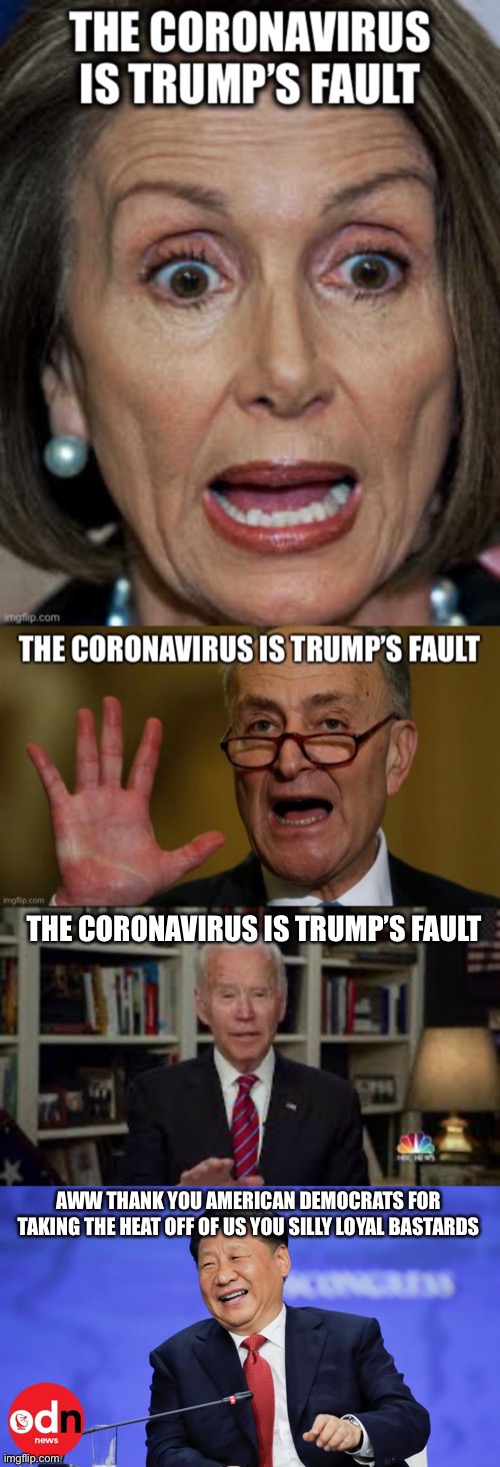 After China, It is the Democrats fault for tying the President up in impeachment when it was spreading then calling him racist | THE CORONAVIRUS IS TRUMP’S FAULT; AWW THANK YOU AMERICAN DEMOCRATS FOR TAKING THE HEAT OFF OF US YOU SILLY LOYAL BASTARDS | image tagged in coronavirus,democrats,democratic party,nancy pelosi,joe biden,chuck schumer | made w/ Imgflip meme maker