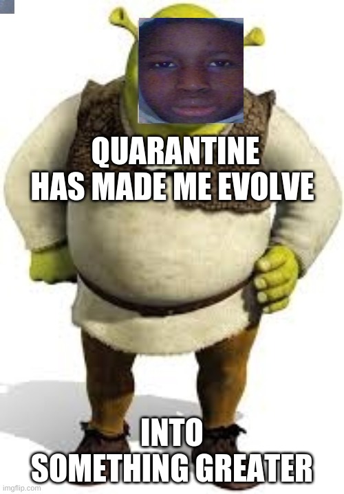 QUARANTINE HAS MADE ME EVOLVE; INTO SOMETHING GREATER | image tagged in shrek | made w/ Imgflip meme maker