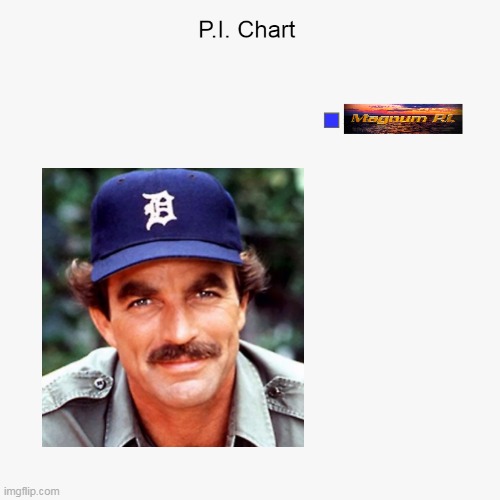 My P.I. Chart | image tagged in charts,pie charts,magnum pi,lol,tv,tom selleck | made w/ Imgflip meme maker