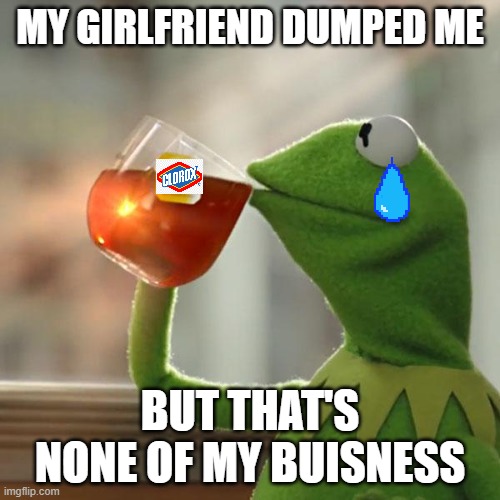 But That's None Of My Business Meme | MY GIRLFRIEND DUMPED ME; BUT THAT'S NONE OF MY BUISNESS | image tagged in memes,but that's none of my business,kermit the frog | made w/ Imgflip meme maker