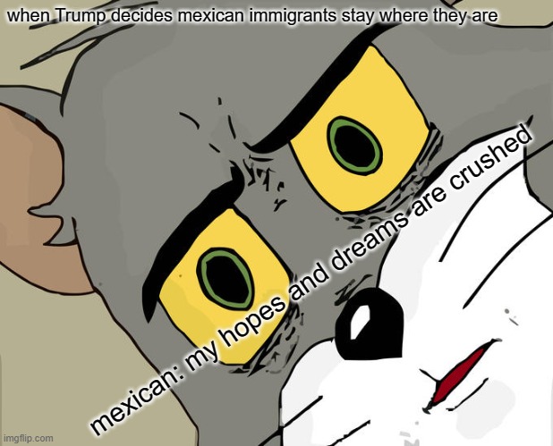 unsettled amigos | when Trump decides mexican immigrants stay where they are; mexican: my hopes and dreams are crushed | image tagged in memes,unsettled tom | made w/ Imgflip meme maker