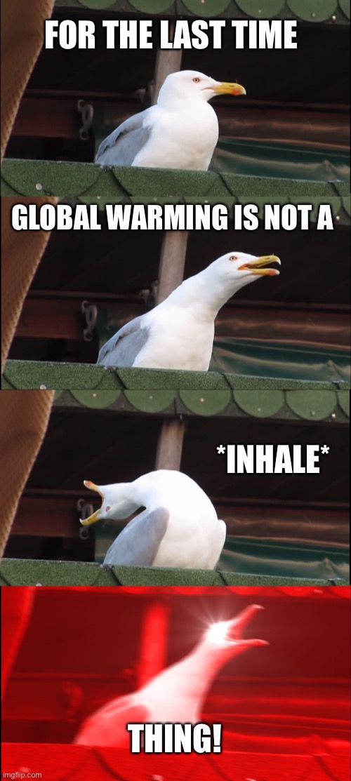 Global warming is not a thing! | FOR THE LAST TIME; GLOBAL WARMING IS NOT A; *INHALE*; THING! | image tagged in memes,inhaling seagull | made w/ Imgflip meme maker