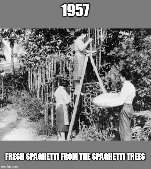 People in 1957 be like | 1957; FRESH SPAGHETTI FROM THE SPAGHETTI TREES | image tagged in spaghetti trees,april fools day,hoax,spaghetti,noodles,british | made w/ Imgflip meme maker