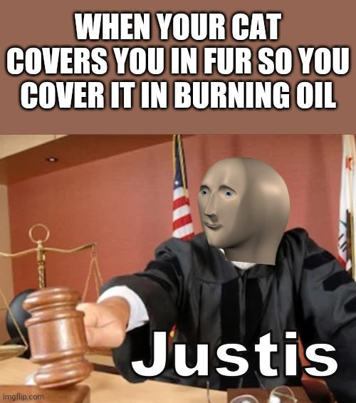 Justice! | WHEN YOUR CAT COVERS YOU IN FUR SO YOU COVER IT IN BURNING OIL | image tagged in meme man justis,justice,cat,memes,fur,oil | made w/ Imgflip meme maker