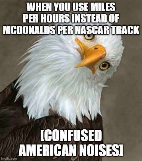 'murica | WHEN YOU USE MILES PER HOURS INSTEAD OF MCDONALDS PER NASCAR TRACK; [CONFUSED AMERICAN NOISES] | image tagged in bald eagle tilt | made w/ Imgflip meme maker