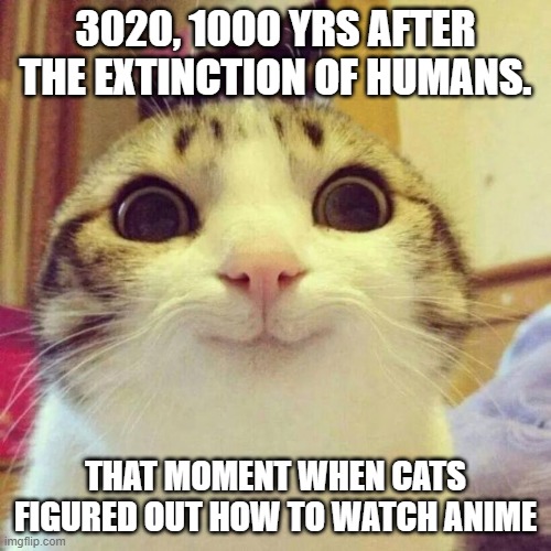 anime cat | 3020, 1000 YRS AFTER THE EXTINCTION OF HUMANS. THAT MOMENT WHEN CATS FIGURED OUT HOW TO WATCH ANIME | image tagged in memes,smiling cat | made w/ Imgflip meme maker