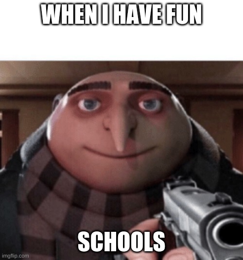 NO Gru | WHEN I HAVE FUN; SCHOOLS | image tagged in no gru | made w/ Imgflip meme maker