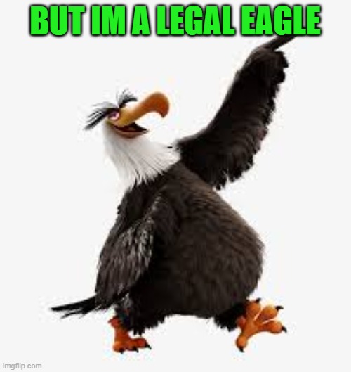 angry birds eagle | BUT IM A LEGAL EAGLE | image tagged in angry birds eagle | made w/ Imgflip meme maker