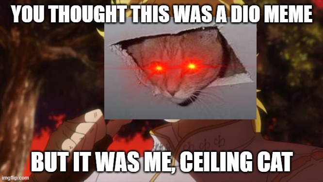 but it was me, ceiling cat | YOU THOUGHT THIS WAS A DIO MEME; BUT IT WAS ME, CEILING CAT | image tagged in but it was me dio | made w/ Imgflip meme maker