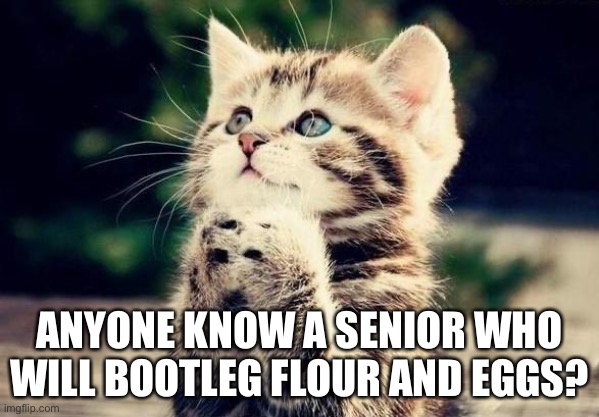 Grocery shopping in April 2020 | ANYONE KNOW A SENIOR WHO WILL BOOTLEG FLOUR AND EGGS? | image tagged in covid-19,pandemic,baking | made w/ Imgflip meme maker