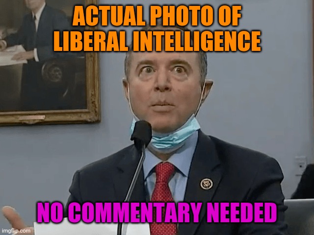 I'm Not Sure The Mask Goes Under The Chin, Pencil Neck | ACTUAL PHOTO OF LIBERAL INTELLIGENCE; NO COMMENTARY NEEDED | image tagged in adam schiff,liberal logic,stupid liberals,politics,covid-19 | made w/ Imgflip meme maker