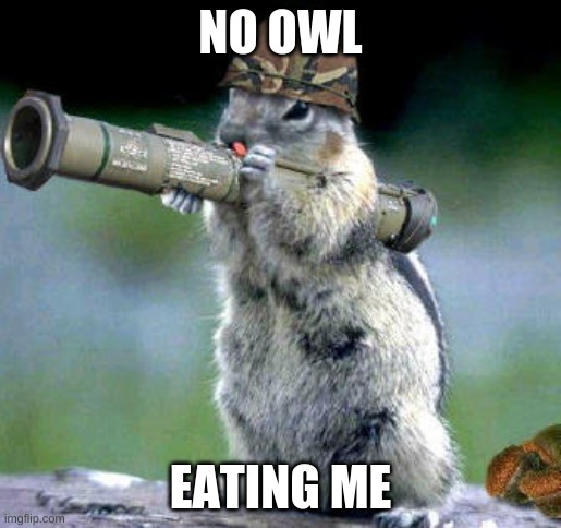 Bazooka Squirrel | NO OWL; EATING ME | image tagged in memes,bazooka squirrel | made w/ Imgflip meme maker