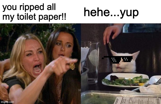 Woman Yelling At Cat Meme | you ripped all my toilet paper!! hehe...yup | image tagged in memes,woman yelling at cat | made w/ Imgflip meme maker