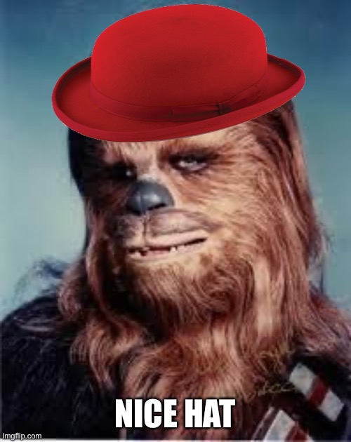 chewbacca | NICE HAT | image tagged in chewbacca | made w/ Imgflip meme maker