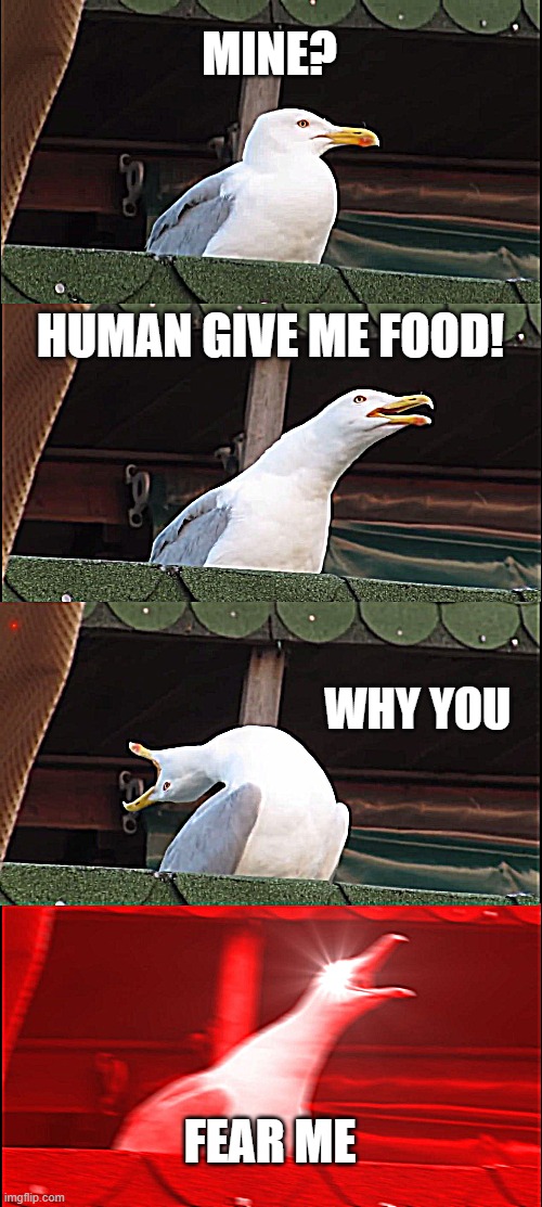 Inhaling Seagull Meme | MINE? HUMAN GIVE ME FOOD! WHY YOU; FEAR ME | image tagged in memes,inhaling seagull | made w/ Imgflip meme maker