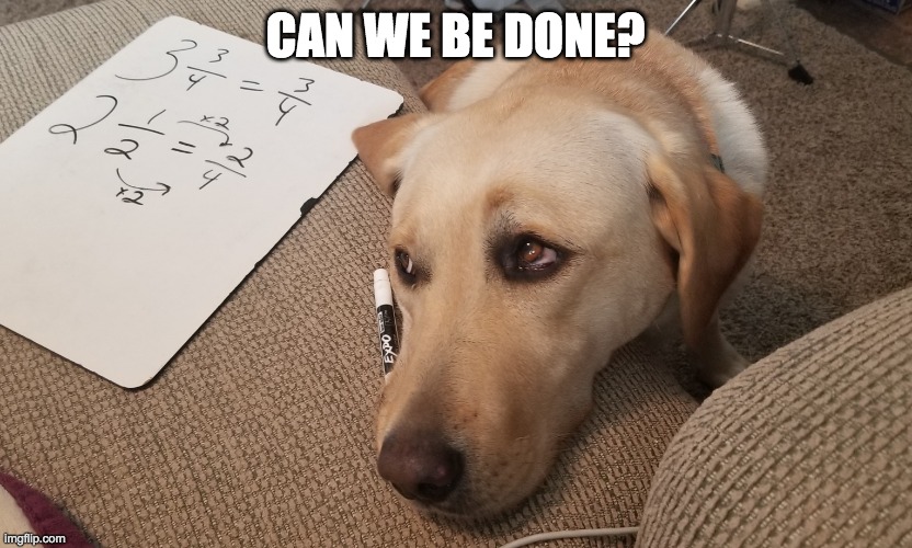 Can we be done? | CAN WE BE DONE? | image tagged in school during covid19,bored dog,boredom,done | made w/ Imgflip meme maker