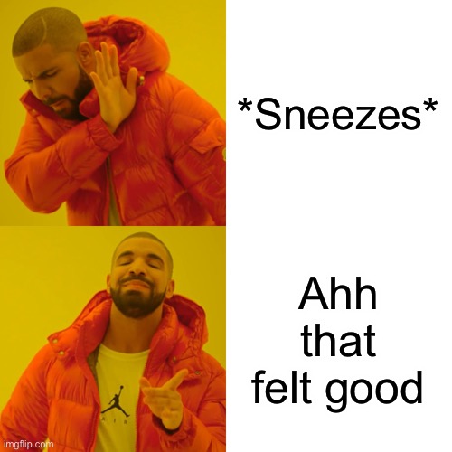 Drake Hotline Bling | *Sneezes*; Ahh that felt good | image tagged in memes,drake hotline bling | made w/ Imgflip meme maker