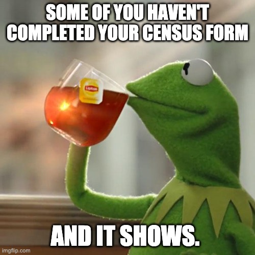 But That's None Of My Business | SOME OF YOU HAVEN'T COMPLETED YOUR CENSUS FORM; AND IT SHOWS. | image tagged in memes,but that's none of my business,kermit the frog | made w/ Imgflip meme maker