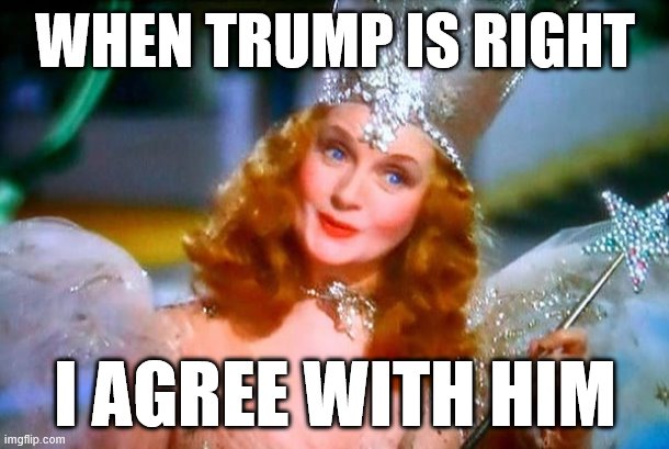 Let the record reflect: Trump said something yesterday that I agreed with. He thinks GA is re-opening too quickly. | WHEN TRUMP IS RIGHT; I AGREE WITH HIM | image tagged in glinda the good witch,trump,covid-19,coronavirus,agree,trump derangement syndrome | made w/ Imgflip meme maker