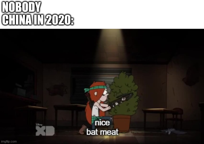 bat meat | NOBODY
CHINA IN 2020: | image tagged in memes | made w/ Imgflip meme maker