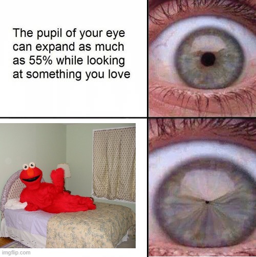 red fuzzy demon | image tagged in elmo,nope,get out | made w/ Imgflip meme maker