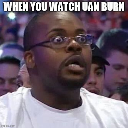 The New Face of the WWE after Wrestlemania 30 | WHEN YOU WATCH UAN BURN | image tagged in the new face of the wwe after wrestlemania 30 | made w/ Imgflip meme maker