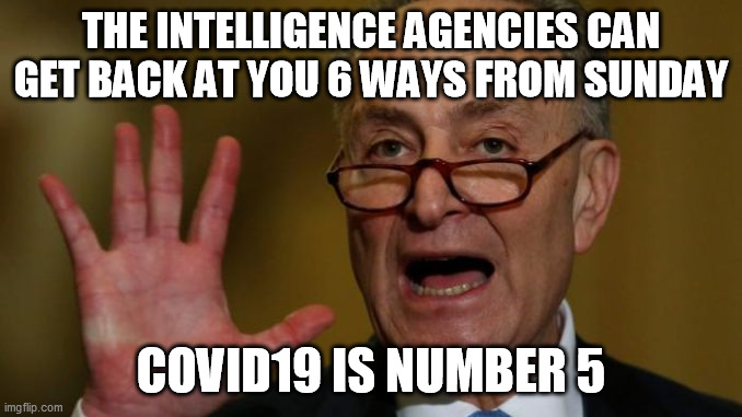 Chuck Schumer | THE INTELLIGENCE AGENCIES CAN GET BACK AT YOU 6 WAYS FROM SUNDAY; COVID19 IS NUMBER 5 | image tagged in chuck schumer | made w/ Imgflip meme maker