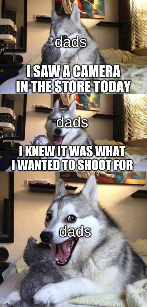 Dad Jokes | dads; I SAW A CAMERA IN THE STORE TODAY; dads; I KNEW IT WAS WHAT I WANTED TO SHOOT FOR; dads | image tagged in memes,bad pun dog | made w/ Imgflip meme maker