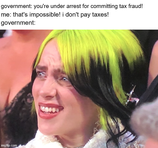 the government is after me | government: you're under arrest for committing tax fraud! government:; me: that's impossible! i don't pay taxes! | image tagged in billie eilish oscars,hol up,yoshi,tax,taxes | made w/ Imgflip meme maker