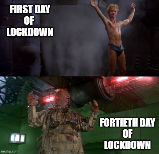 Dune Lockdown | FIRST DAY
OF 
LOCKDOWN; FORTIETH DAY
OF
LOCKDOWN | image tagged in dune,fyed,harkonnen,baron,lockdown | made w/ Imgflip meme maker
